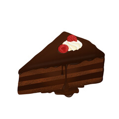 Slice of chocolate cake with fresh raspberry
