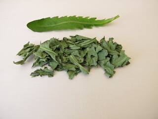 Dandelion herbs, dried leafes for herbal tea - obrazy, fototapety, plakaty