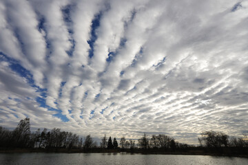 Meteorological observations of Altocumulus stratiformis cirrocumulus undulatus clouds over a river...