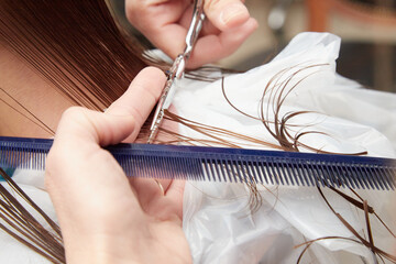 ścinanie włosów w zakładzie fryzjerskim - obrazy, fototapety, plakaty