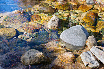 Obraz premium Rio Manzanares en La Pedriza. Madrid. España.