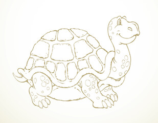 The big turtle. Vector drawing