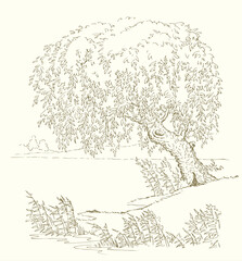 Vector drawing. Tree at the lake