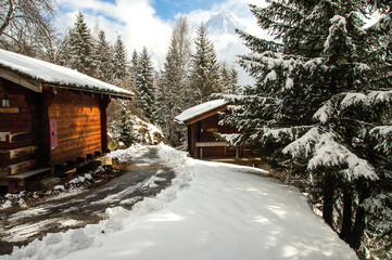 Chalets enneigés et sapins