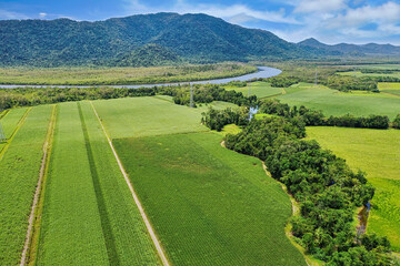 Deeral south of Cairns. Aerial views of cane sugar