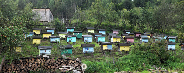 Beehives, honey production in small houses, the world of bees ... 