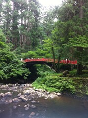 Japanese red bridge in the forest, year 2012