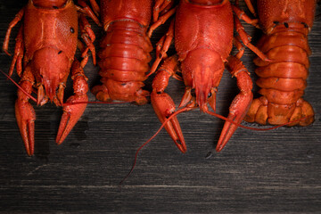 delicacy for beer, boiled red crayfish with lemon and bay leaves