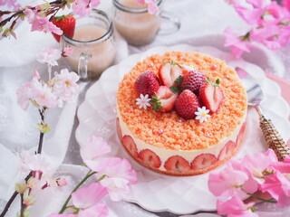 春スイーツ イチゴのケーキ フレジエ