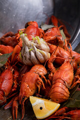 delicacy for beer, boiled red crayfish with lemon and bay leaves