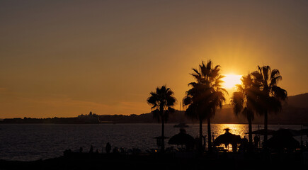 Palm Silhouettes at sunset at the Beach in Palma de Mallorca