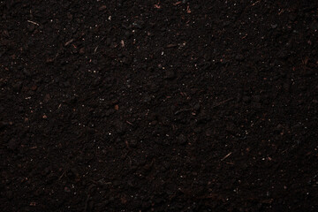 Garden soil or turf background. Copy space