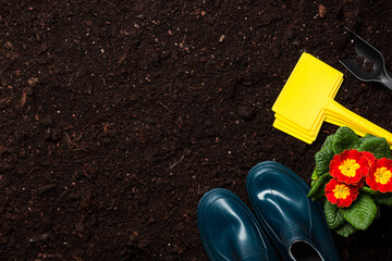 Naklejka premium Gardening and planting in home garden flat lay background