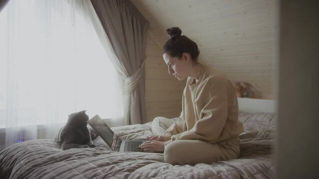 Concentrated woman works on laptop. The cat lies nearby. Female freelancer uses modern PC. Lady rests on bed with notebook. Female blogger home workplace. 4K footage