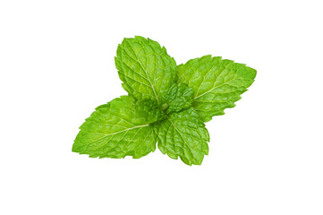 Obraz na płótnie Canvas Fresh mint leaf (Spearmint) isolated on white background. Top view. Flat lay. Clipping path.