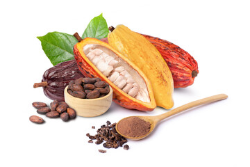 Group of various types of fresh cocoa fruits and dry cocoa beans in wooden bowl with green leaves...