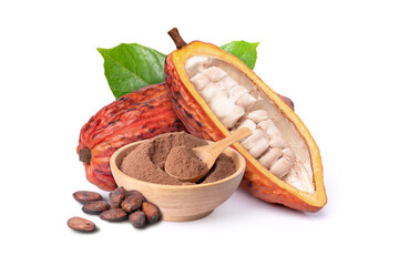 Fresh red cocoa fruit and dried cocoa bean with powder in wooden bowl isolated on white background.