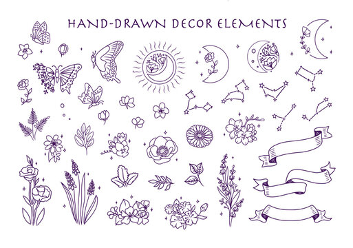 A set of doodle flowers is a vector illustration. The magic collection of line art clipart