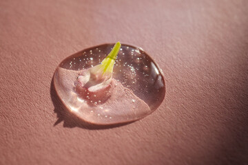 A drop of cosmetic gel with a flower on a pink background.