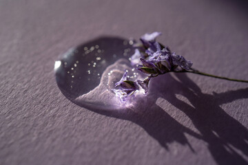 A drop of cosmetic gel with lavender flower on a purple background.