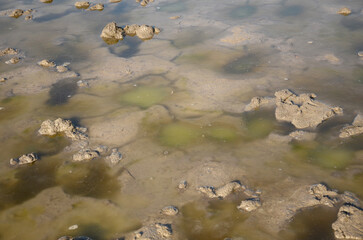Muddy bottom of the river with cracks. In the recesses of colored ice