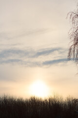 An HDR picture of a sun setting down with cloudy orange and blue sky. Silhouette of branches of leafless trees are in the foreground
