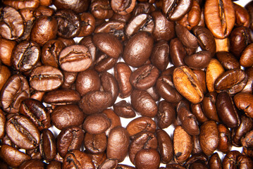 The Netherlands, February 2022. Close up of coffee beans on white background.