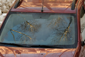 The sky and trees are reflected in the glass of the car