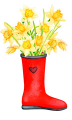 Red rubber boot with a bouquet of daffodils. Watercolor illustration for design of happy birthday greeting cards, women's day, mother's day, invitations, labels, logo, stationery, poster, etc.