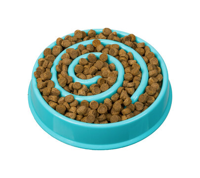 Food slowing bowl for a cat dog 