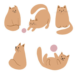 set of cute cats