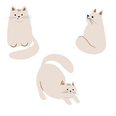 set of cute cats