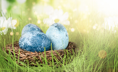 blue easter eggs in a nest lying on the grass