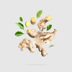 Flying fresh ginger root, green leaves isolated on gray background. Creative food concept. Natural...