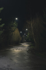 night road in the forest with traffic lights