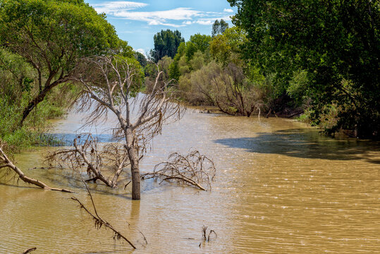 View of the Modder River at River of Joy