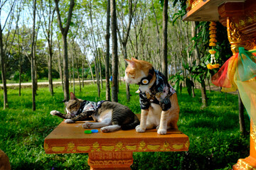 cats in the park