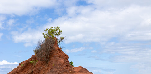 large red mound with shrubs and sky