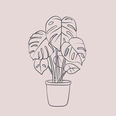 illustration of a plant