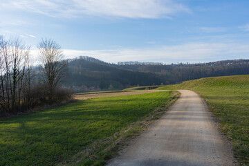 pring Reborn, Wiedergeborene Frühling, Europa, Switzerland, Mountain, Forest, Sunny day, Lonely Walk