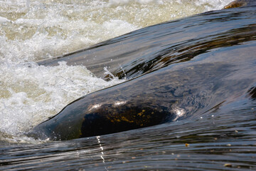 river cascade and waterfall