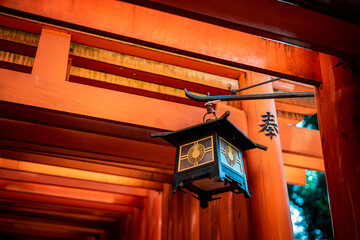 京都にある伏見稲荷大社の千本鳥居です。Kyoto Japan Fushimi-Inari Taisha Shrine