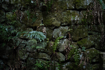 石壁 Kyoto Japan stone wall