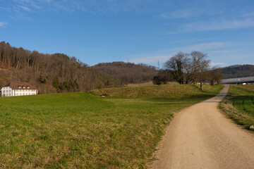 pring Reborn, Wiedergeborene Frühling, Europa, Switzerland, Mountain, Forest, Sunny day, Lonely...
