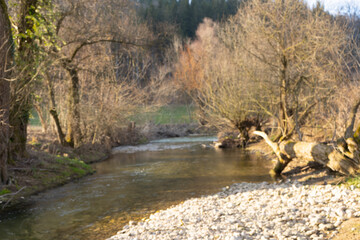 pring Reborn, Wiedergeborene Frühling, Europa, Switzerland, Mountain, Forest, Sunny day, Lonely...