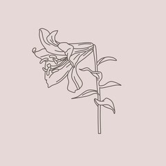 flower illustration design with line art