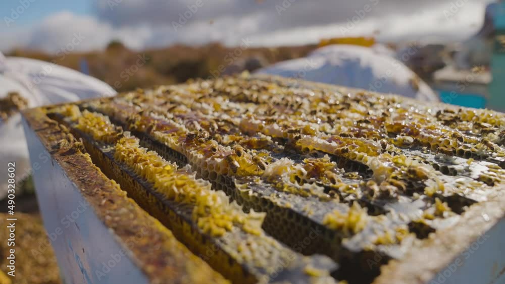 Poster open langstroth hive with bees flying around, covered in brood comb on top of frames
