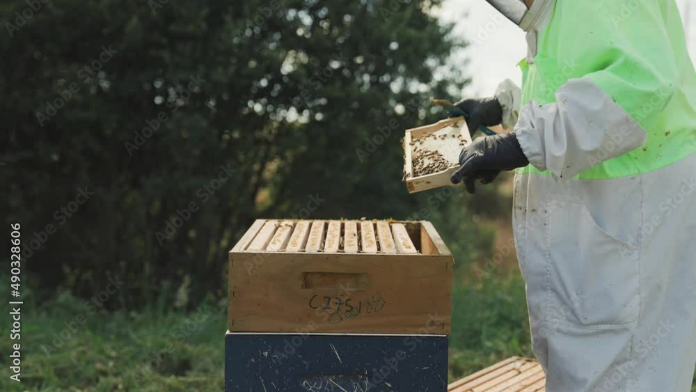 Poster beekeeper in protective suit inspecting honey frame from langstroth hive