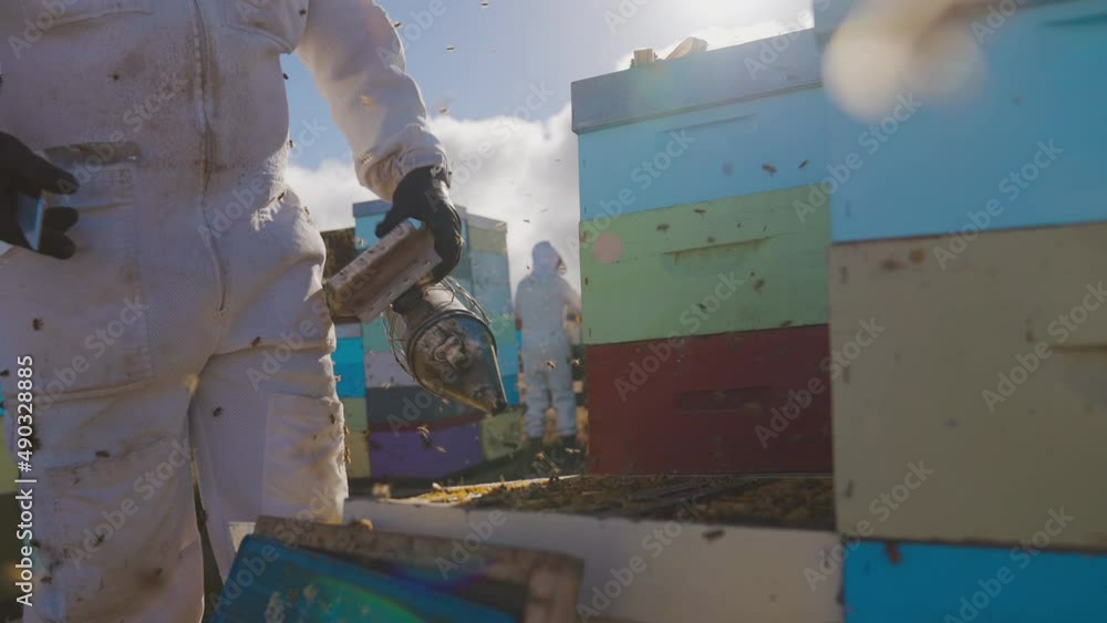 Poster beekeeper using smoker on modern langstroth bee hive to calm bees