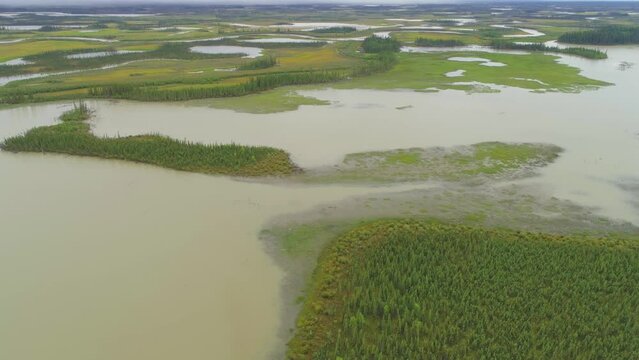 Slow drone flight over a landscape with wetlands and boreal forests in eastern Alaska